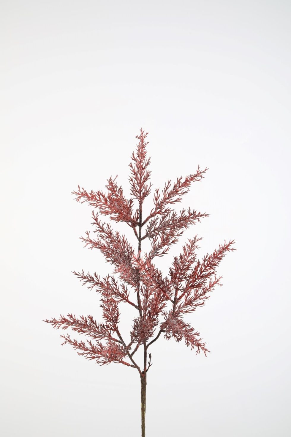 Zijden bloemen kopen doe je bij Bloemsierkunst Groeneveld Haren Groningen