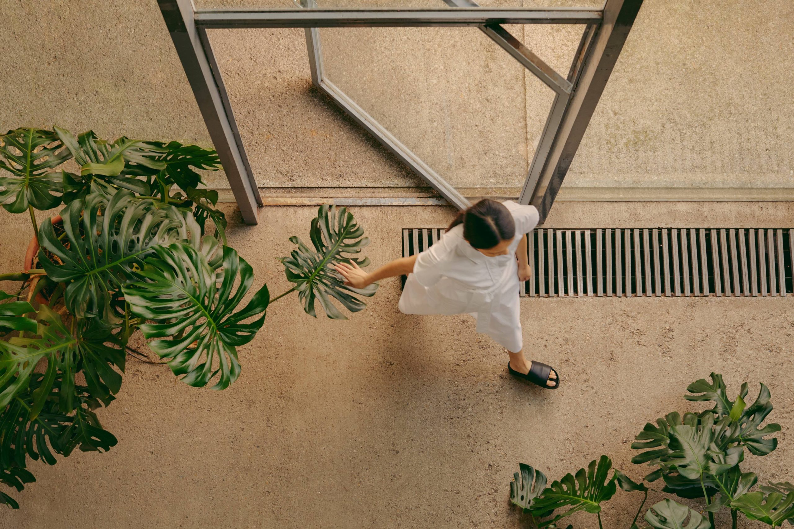 De Monstera, ook wel bekend als de gatenplant, is een stijlvolle en luchtzuiverende kamerplant die perfect past in elke woonkamer.