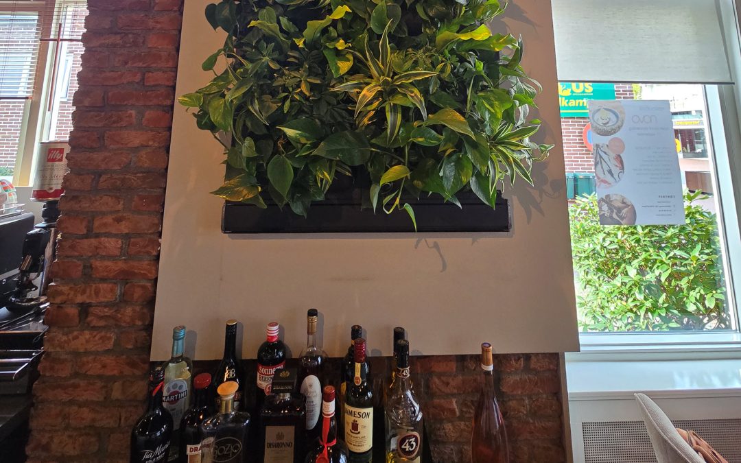 Restaurant NOVO kiest voor groene plantenwand