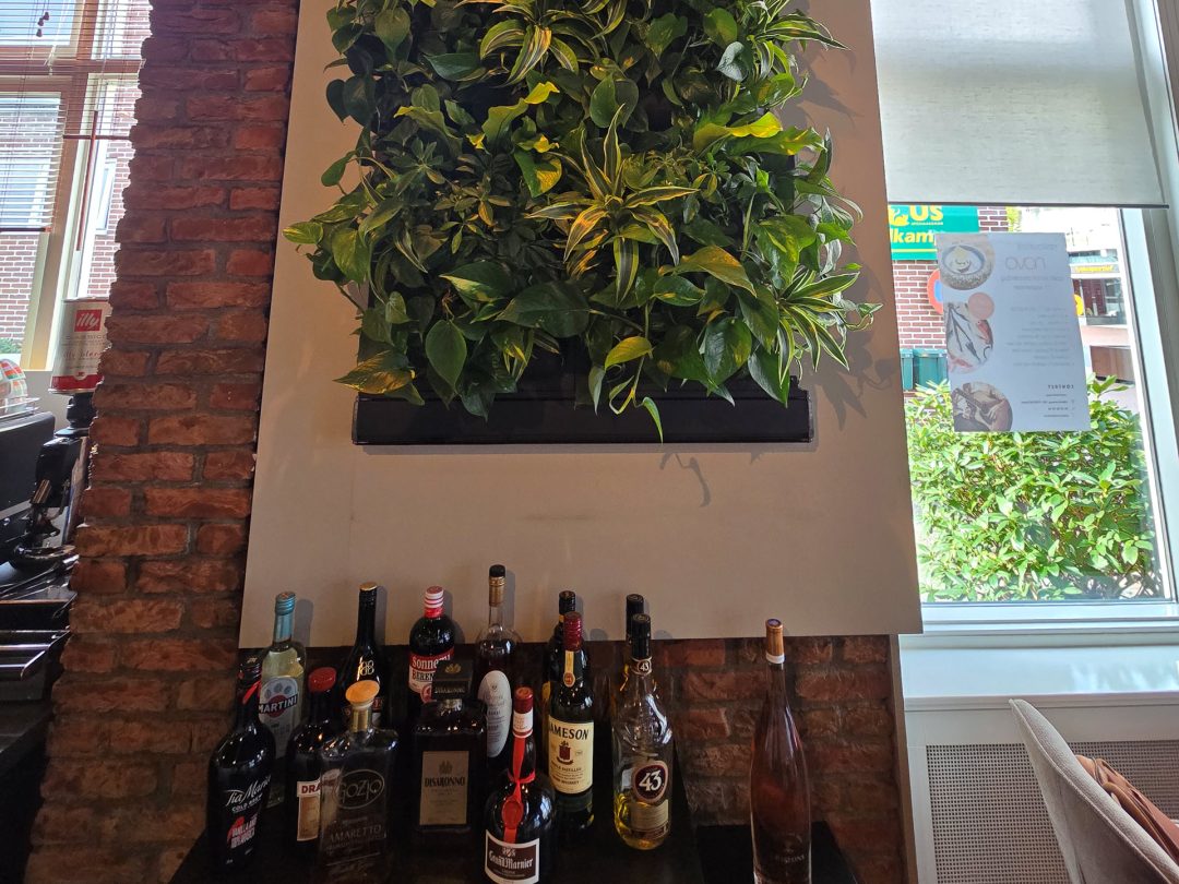 Restaurant NOVO kiest voor groene plantenwand