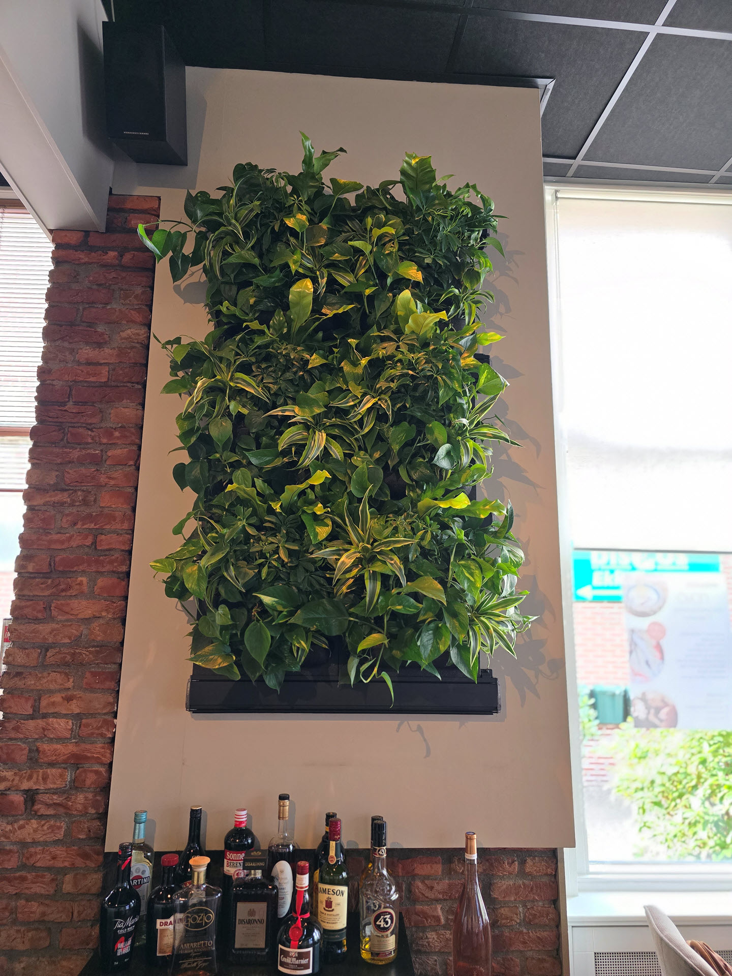 Restaurant NOVO plantenwand LivePanel Pack