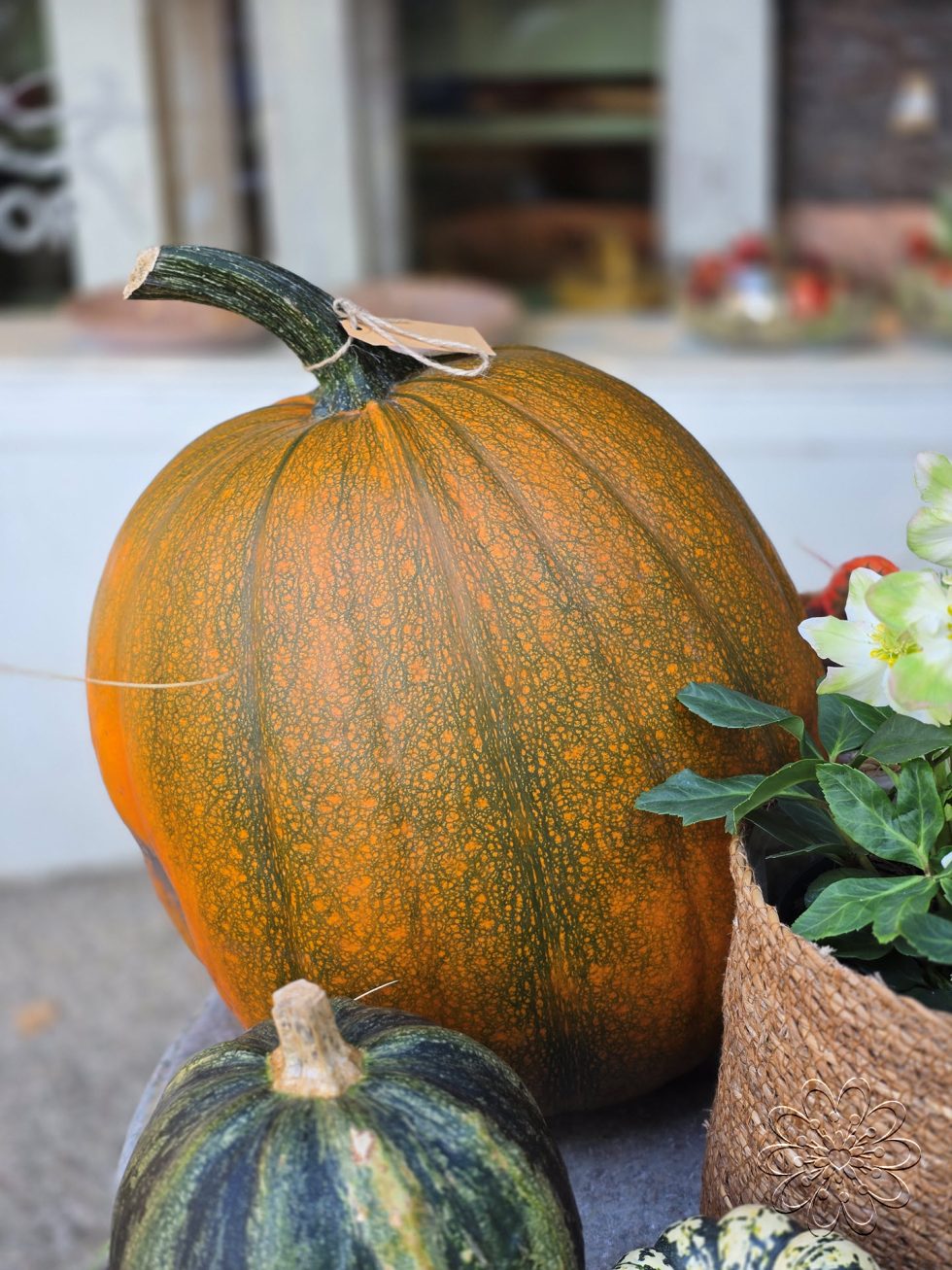 Bloemsierkunst Groeneveld in de herfst sferen