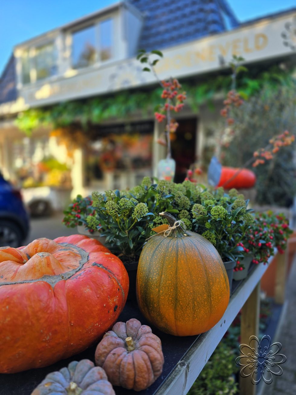 Bloemsierkunst Groeneveld in de herfst sferen