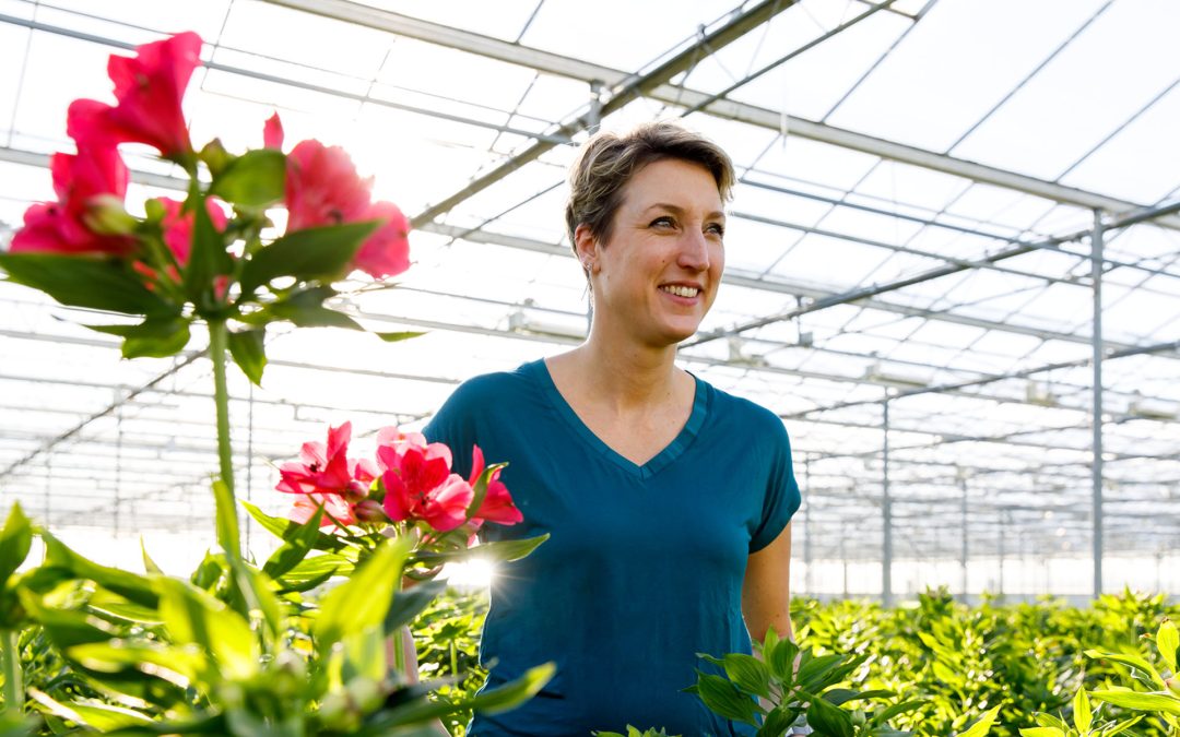 Bloemen met MPS keurmerk van de Nederlandse kweker