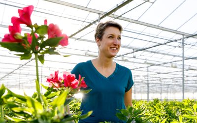 Bloemen met MPS keurmerk van de Nederlandse kweker