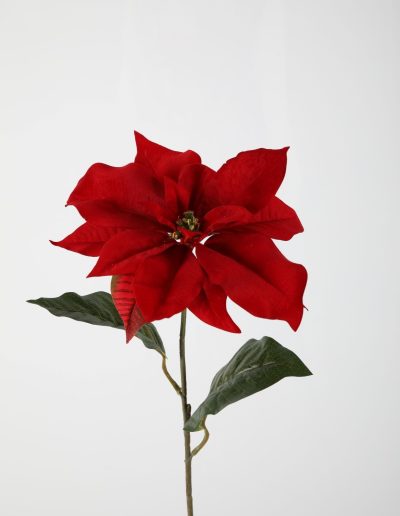 Zijden bloemen kerst