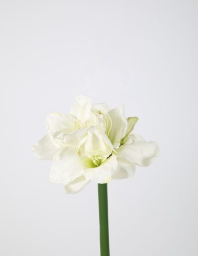 Zijden bloemen kerst