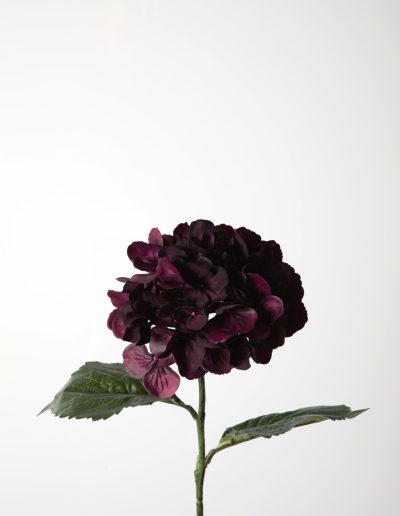 Zijden bloemen kerst