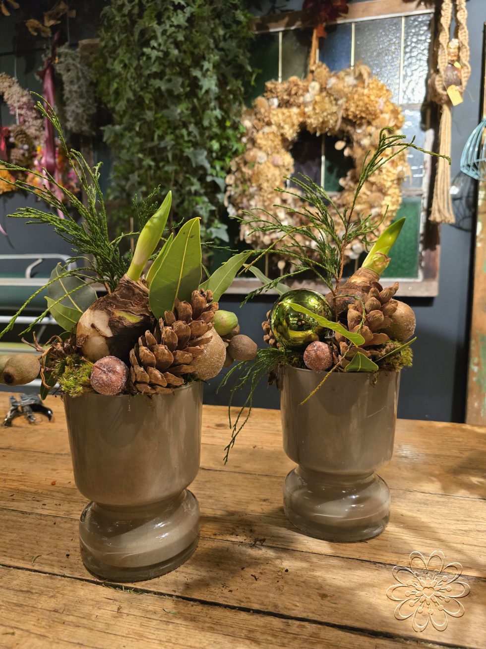 Kerst bij Bloemsierkunst Groeneveld. Adembenemend als je binnen stapt in onze winkel vol geurige dennen en sprankelende kerststukken. Maak ook jouw kerstdagen extra bijzonder met een amaryllis kersboeket of een sfeervolle kerstkrans.