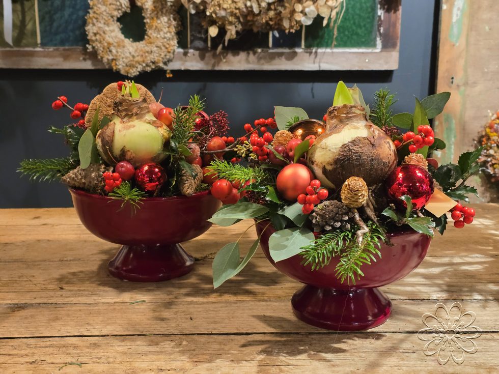 Kerst bij Bloemsierkunst Groeneveld. Adembenemend als je binnen stapt in onze winkel vol geurige dennen en sprankelende kerststukken. Maak ook jouw kerstdagen extra bijzonder met een amaryllis kersboeket of een sfeervolle kerstkrans.