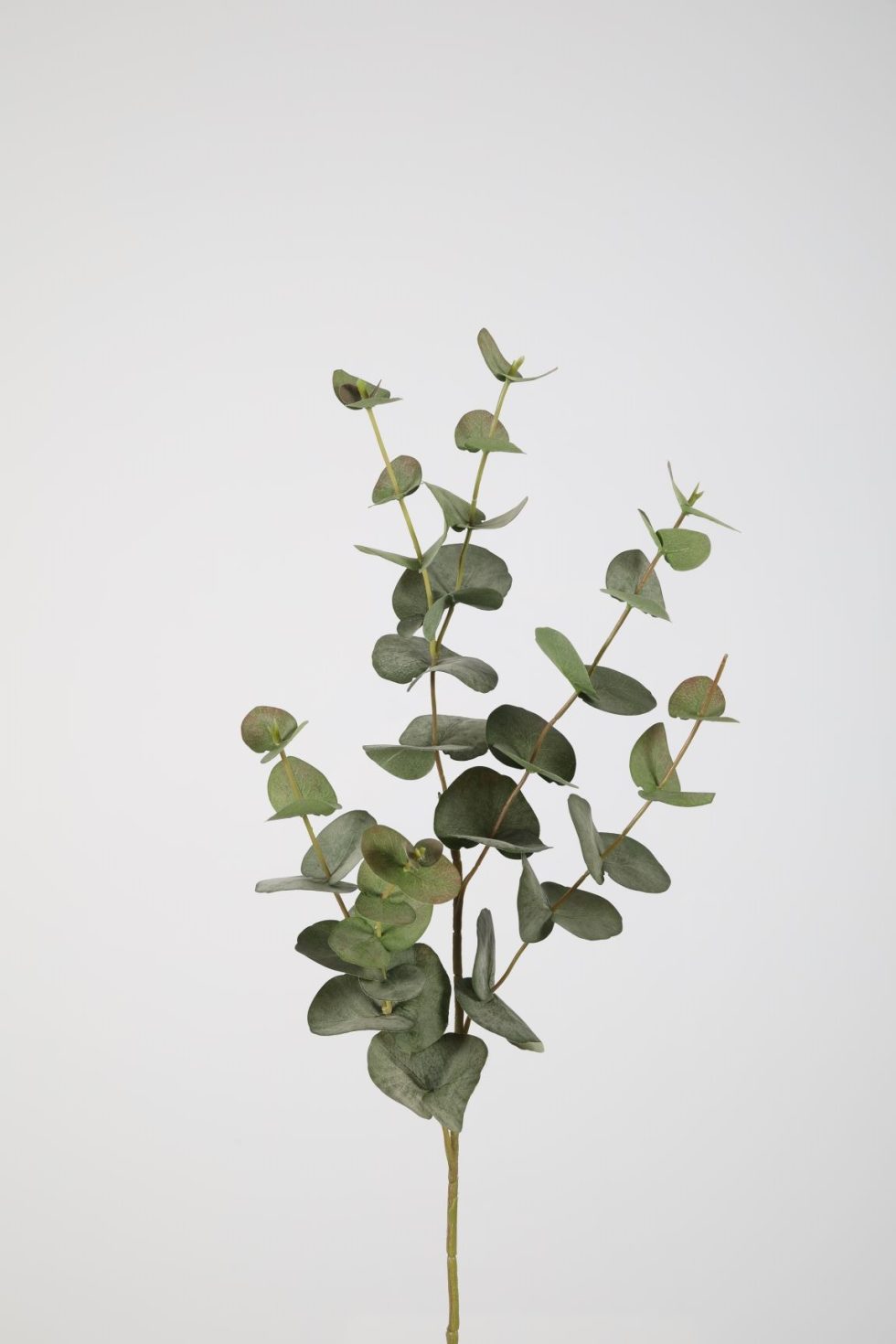 Zijden bloemen bestellen bij Bloemsierkunst Groeneveld