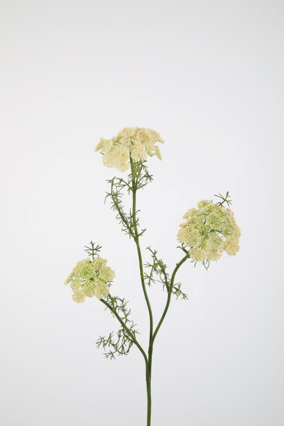 Zijden bloemen bestellen bij Bloemsierkunst Groeneveld