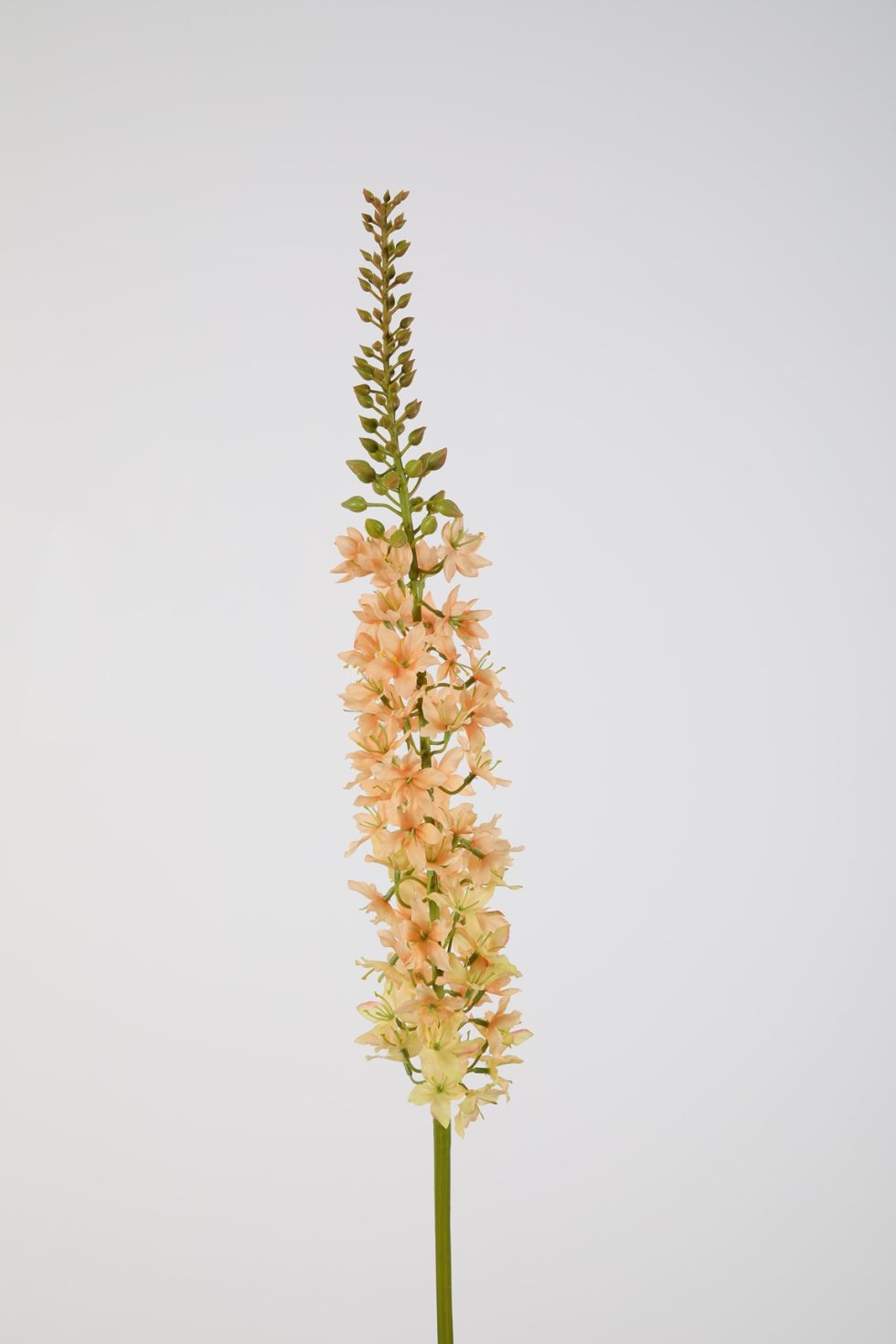 Zijden bloemen bestellen bij Bloemsierkunst Groeneveld