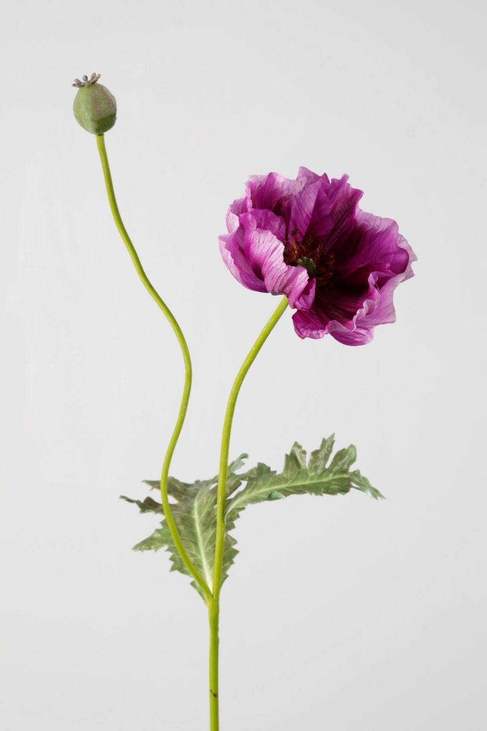 Zijden bloemen bestellen bij Bloemsierkunst Groeneveld