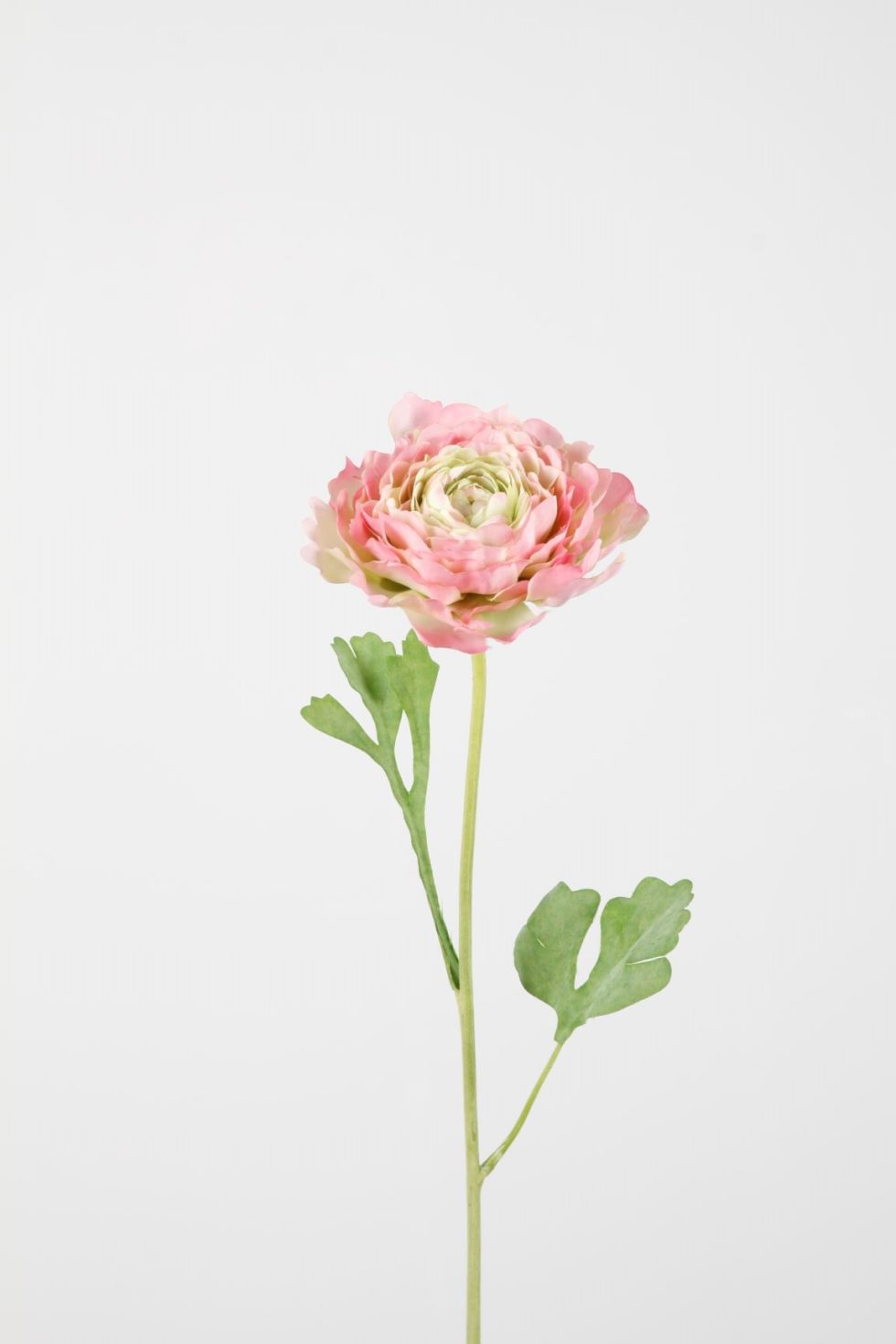 Zijden bloemen bestellen bij Bloemsierkunst Groeneveld