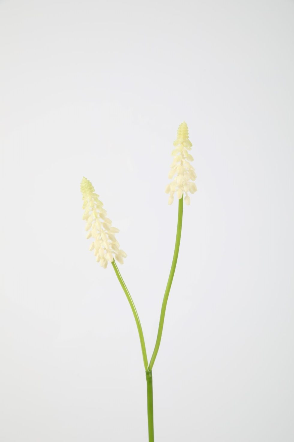 Zijden bloemen bestellen bij Bloemsierkunst Groeneveld