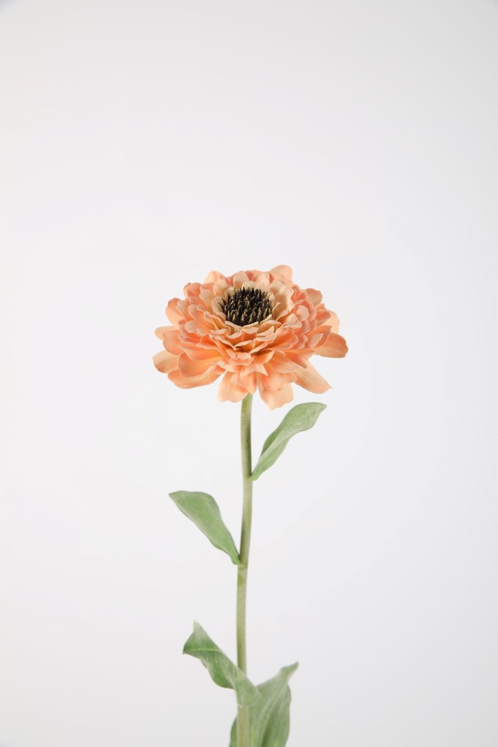 Zijden bloemen bestellen bij Bloemsierkunst Groeneveld