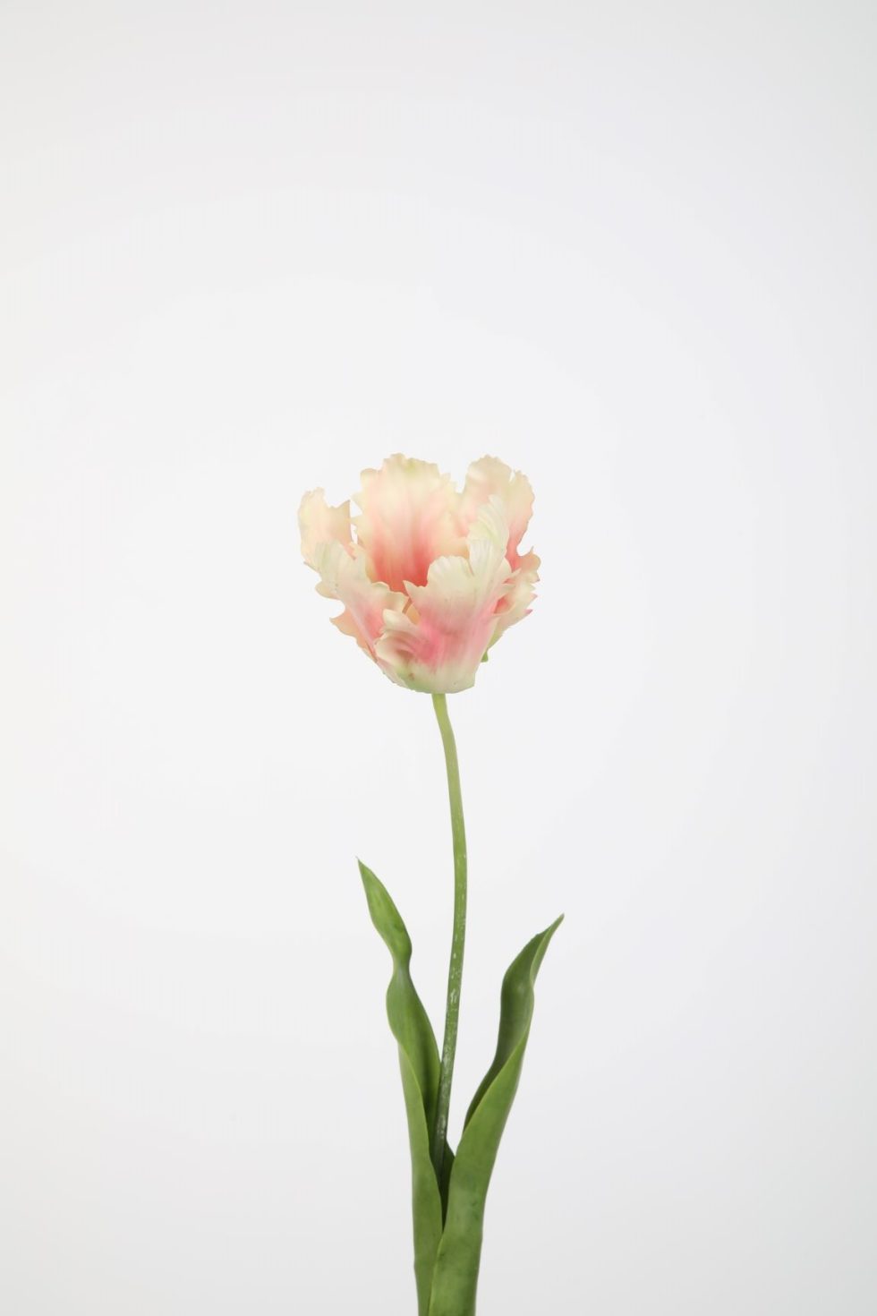 Zijden bloemen bestellen bij Bloemsierkunst Groeneveld