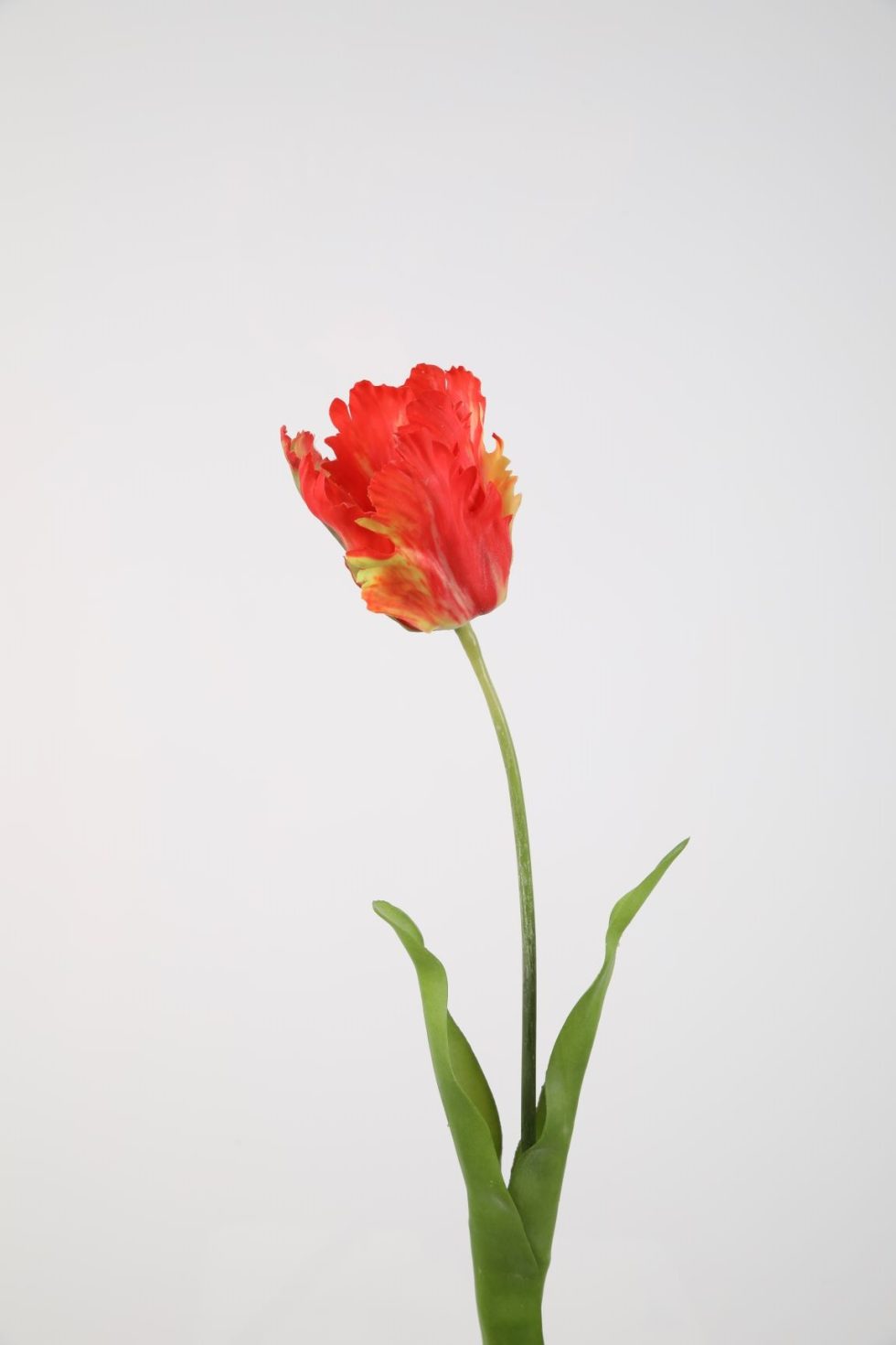 Zijden bloemen bestellen bij Bloemsierkunst Groeneveld