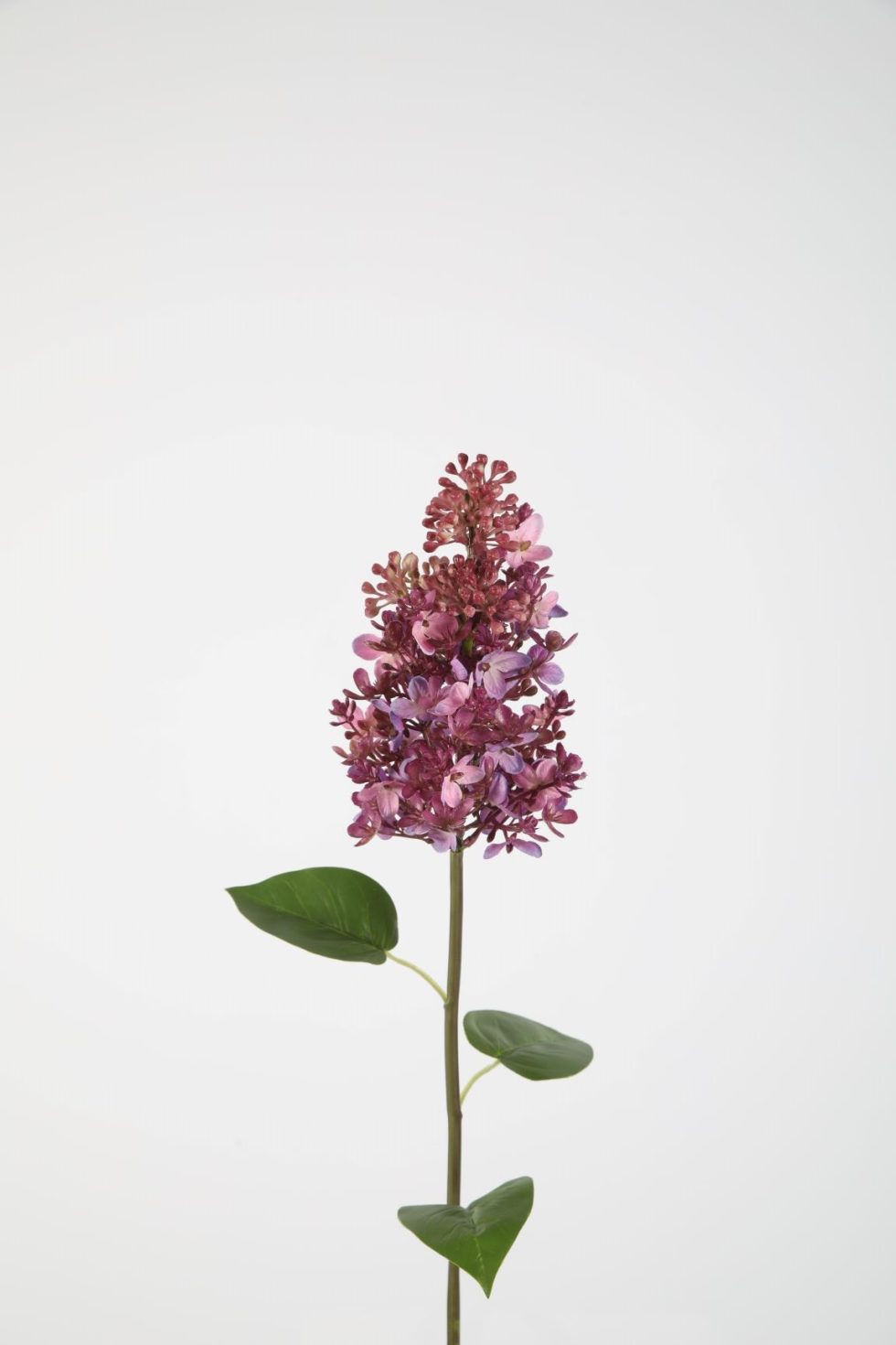 Zijden bloemen bestellen bij Bloemsierkunst Groeneveld