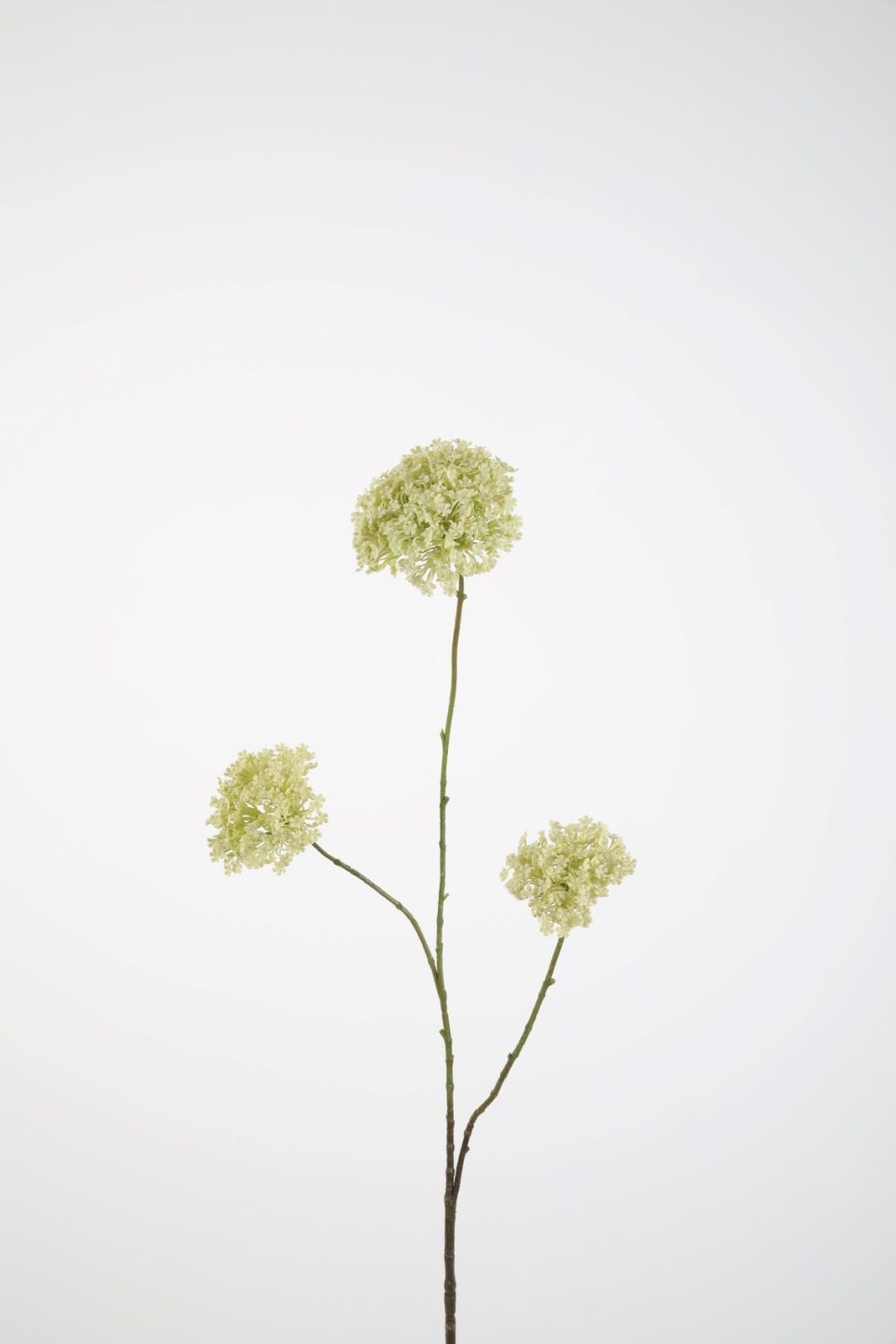 Zijden bloemen bestellen bij Bloemsierkunst Groeneveld