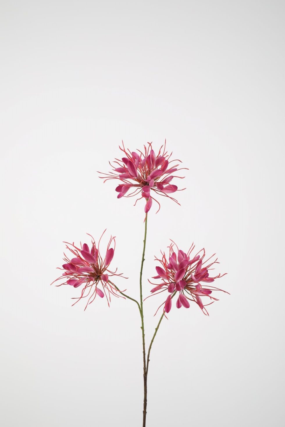 Zijden bloemen bestellen bij Bloemsierkunst Groeneveld