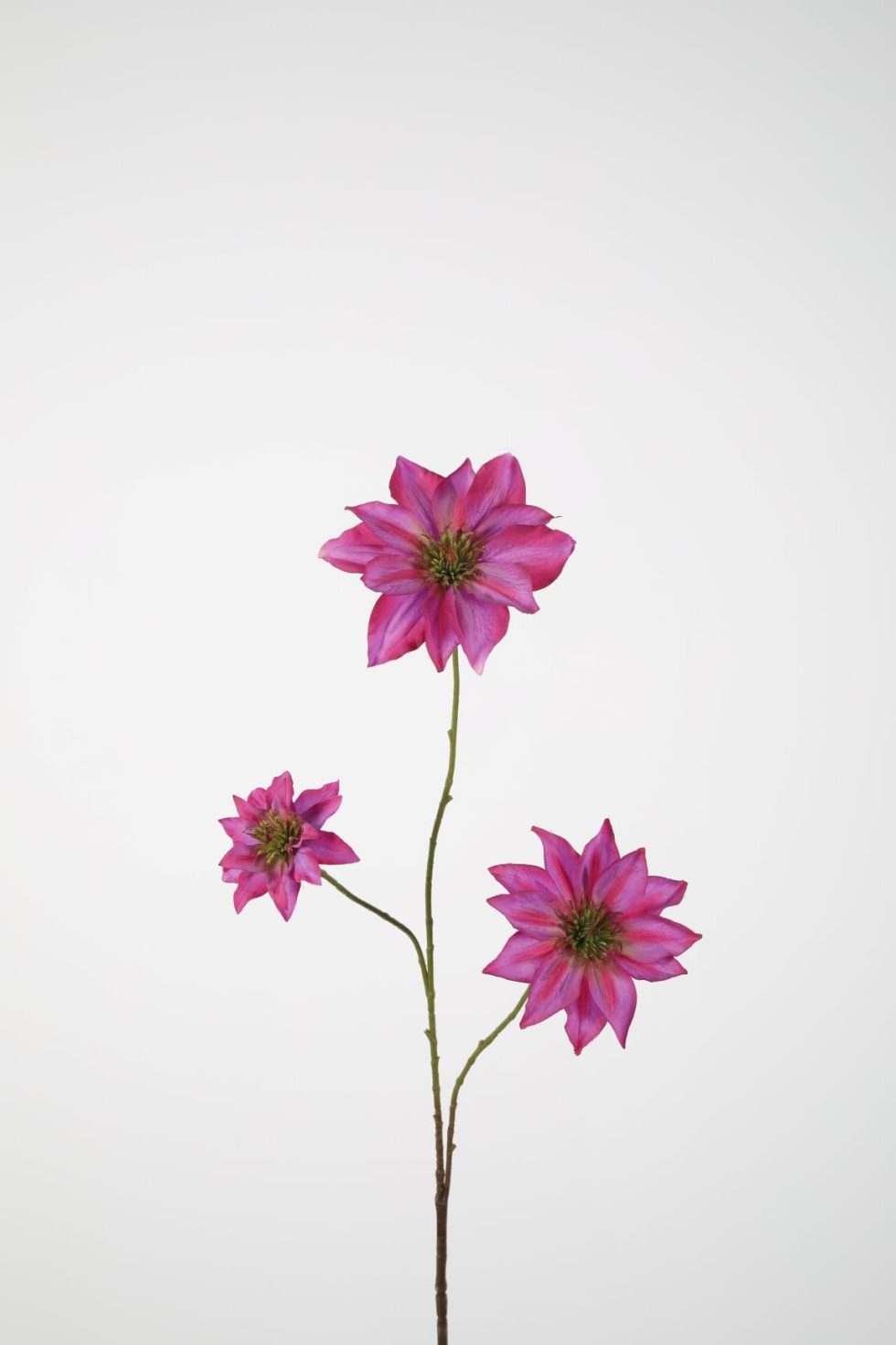 Zijden bloemen bestellen bij Bloemsierkunst Groeneveld