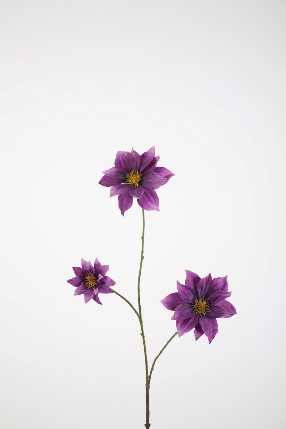 Zijden bloemen bestellen bij Bloemsierkunst Groeneveld