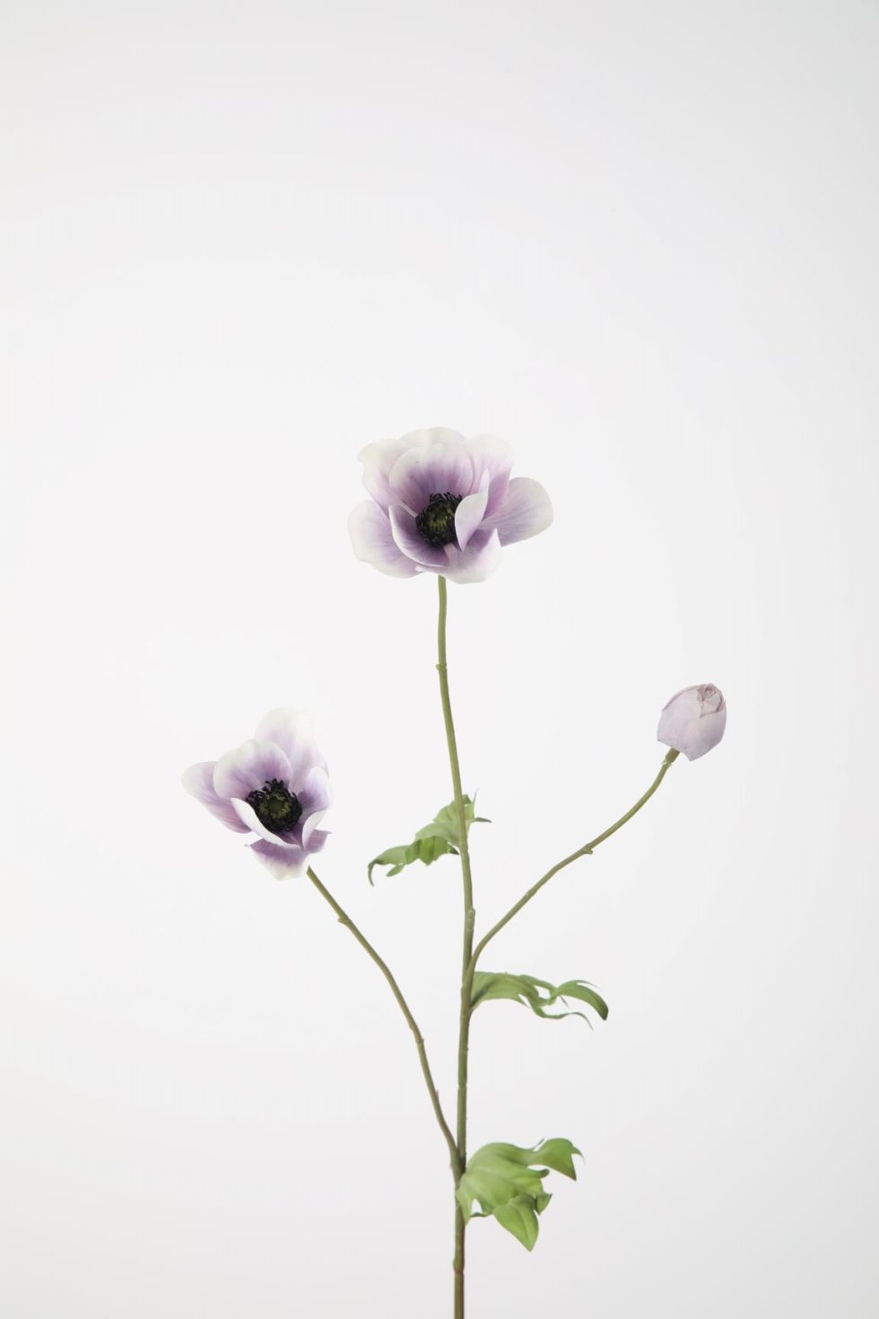 Zijden bloemen bestellen bij Bloemsierkunst Groeneveld