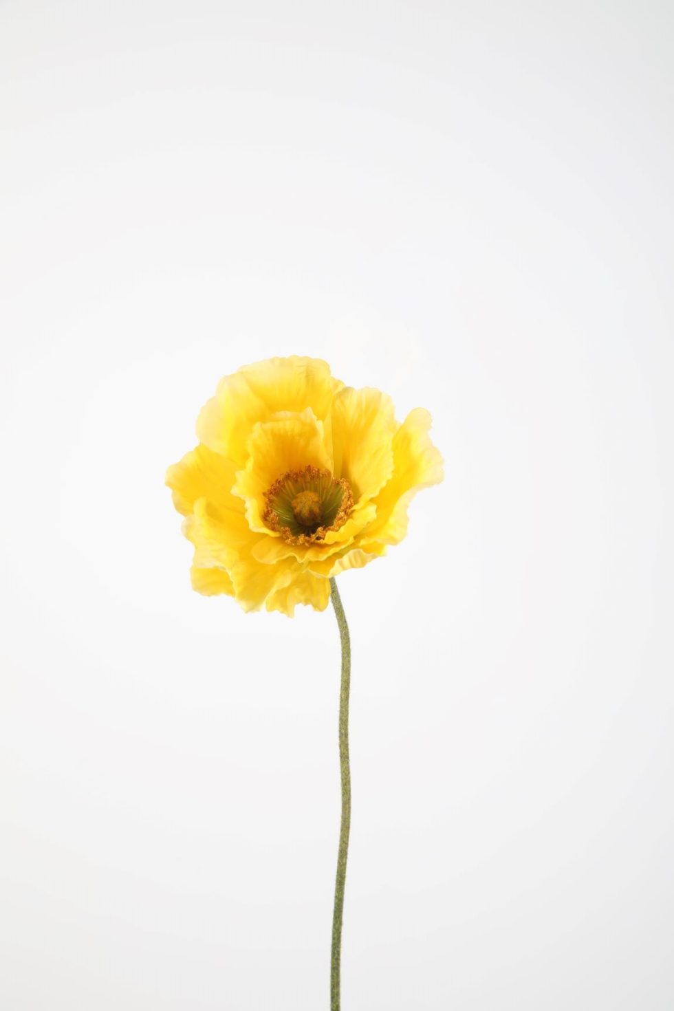 Zijden bloemen bestellen bij Bloemsierkunst Groeneveld