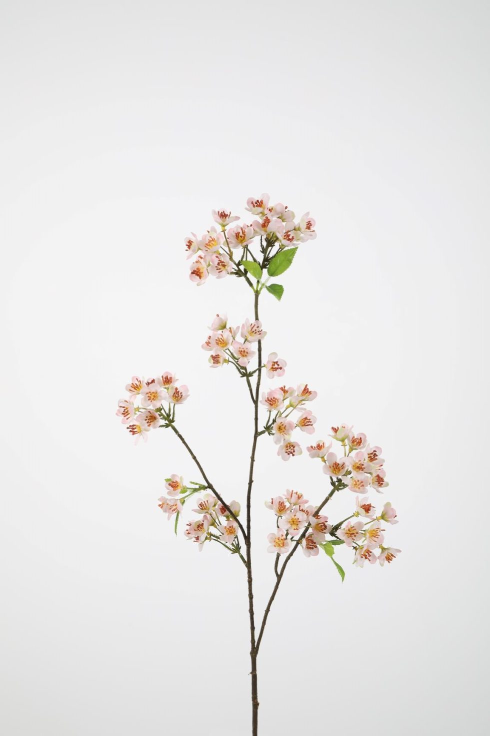 Zijden bloemen bestellen bij Bloemsierkunst Groeneveld