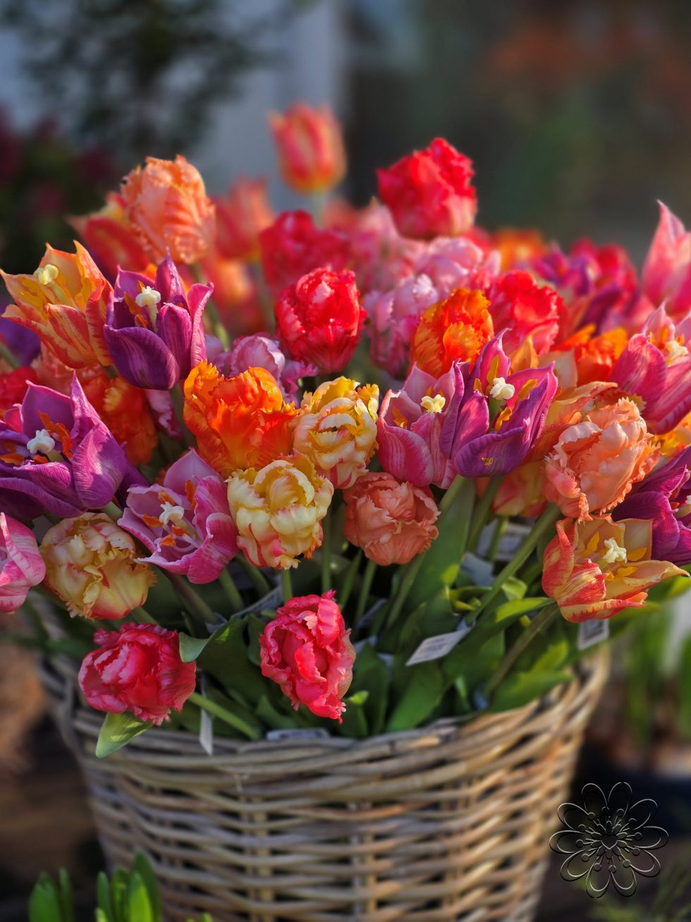 Zijden bloemen bestellen bij Bloemsierkunst Groeneveld - tulpen