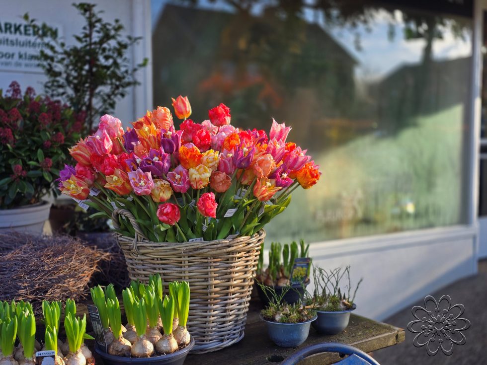 Zijden bloemen bestellen bij Bloemsierkunst Groeneveld - tulpen