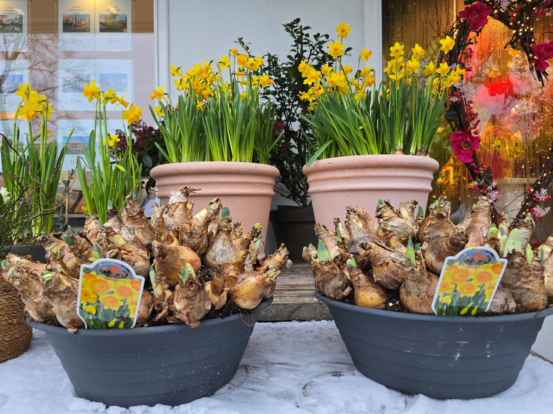 Bloemsierkunst Groeneveld in kerstsfeer