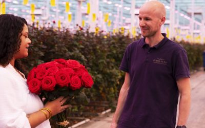 De roos, een liefdevolle verrassing