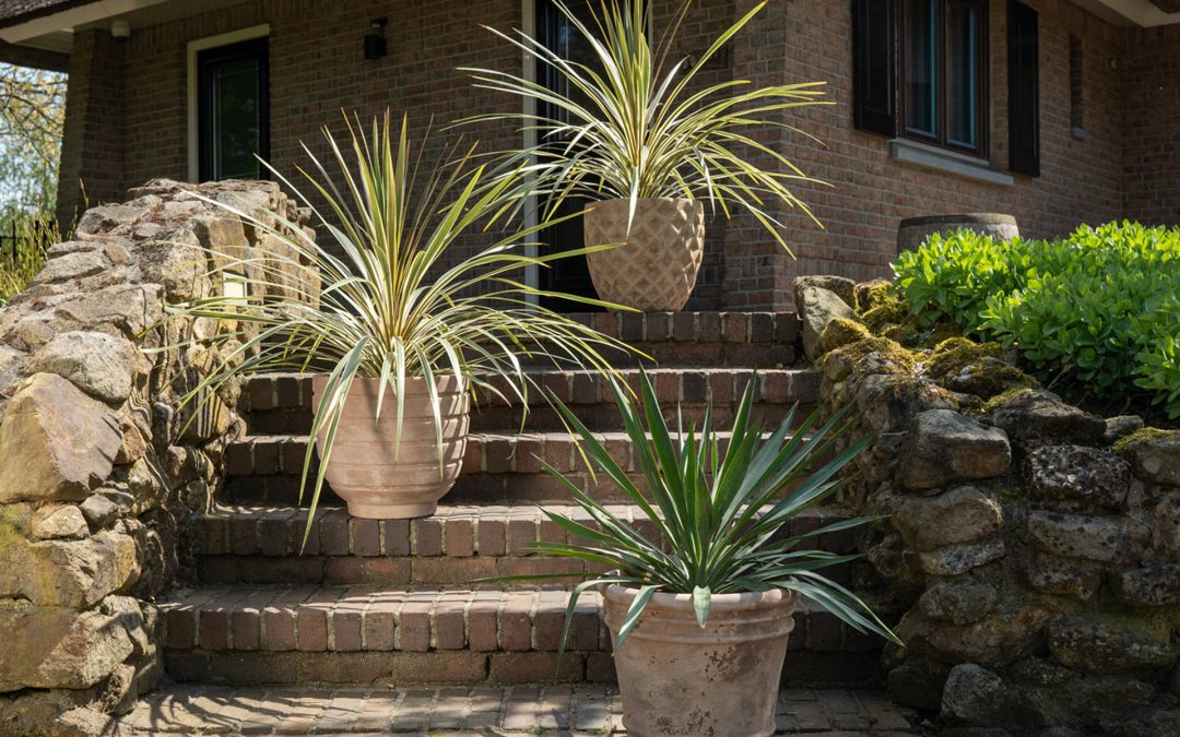 Nieuw binnen: old terra – terracotta potten