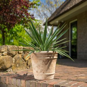 Pot Doppio Old Terra