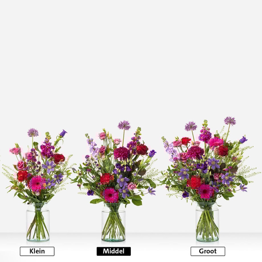 Maandboeket februari - Afbeelding 3