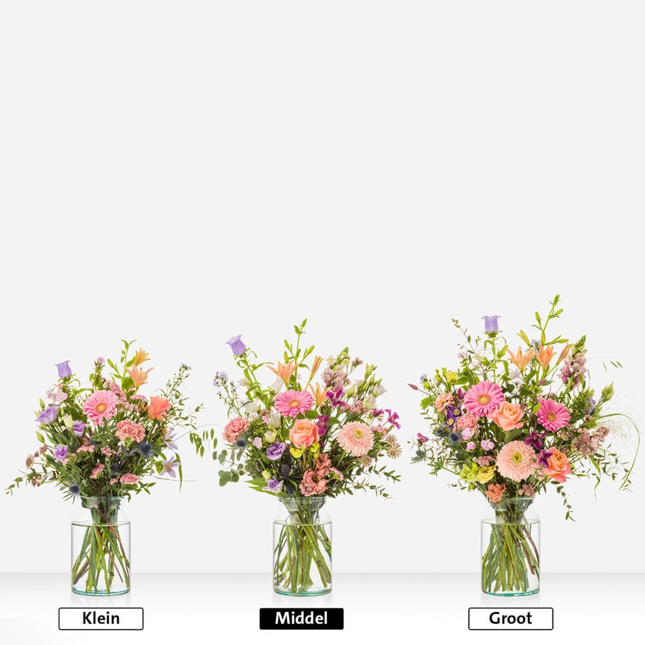 Pastel geplukt - Afbeelding 3