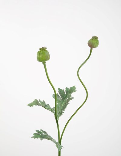 Bloemsierkunst Groeneveld | zijden bloemen