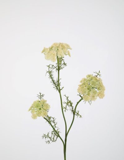 Bloemsierkunst Groeneveld | zijden bloemen