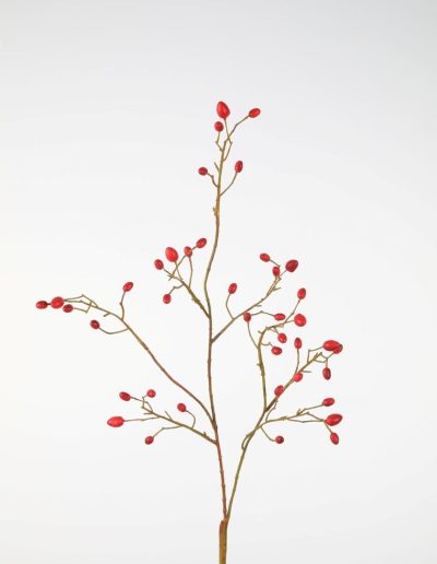 Bloemsierkunst Groeneveld | zijden bloemen