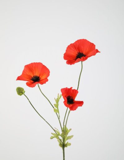 Bloemsierkunst Groeneveld | zijden bloemen