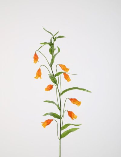 Bloemsierkunst Groeneveld | zijden bloemen