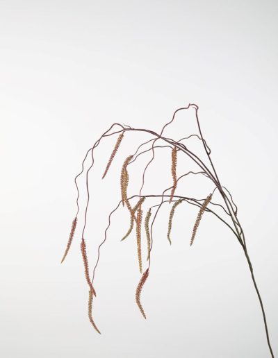 Bloemsierkunst Groeneveld | zijden bloemen
