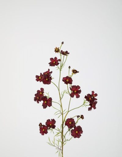 Bloemsierkunst Groeneveld | zijden bloemen