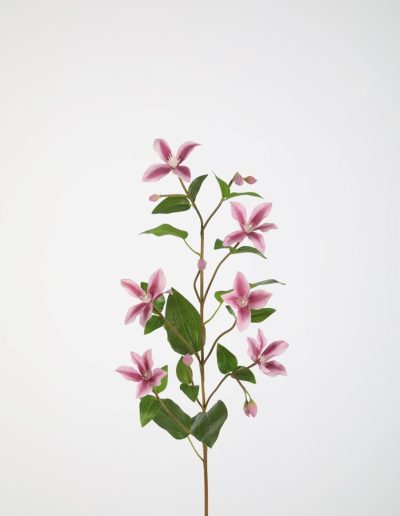 Bloemsierkunst Groeneveld | zijden bloemen