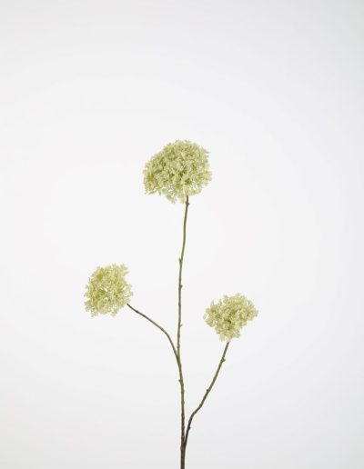 Bloemsierkunst Groeneveld | zijden bloemen