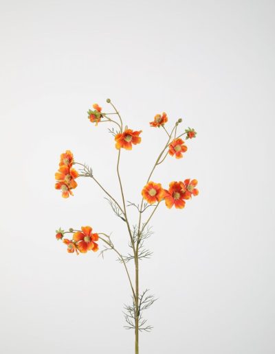 Bloemsierkunst Groeneveld | zijden bloemen