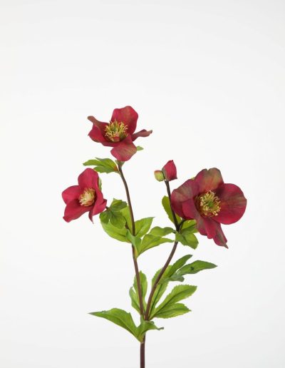 Bloemsierkunst Groeneveld | zijden bloemen